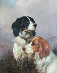 Setters op een heide, 1892